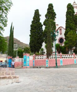 Pinos