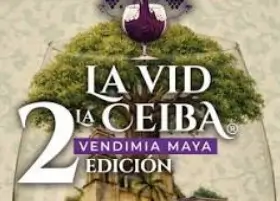 La Vid y La Ceiba