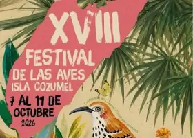 Festival de las Aves